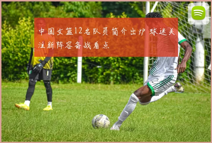 中国女篮12名队员简介出炉 球迷关注新阵容备战看点